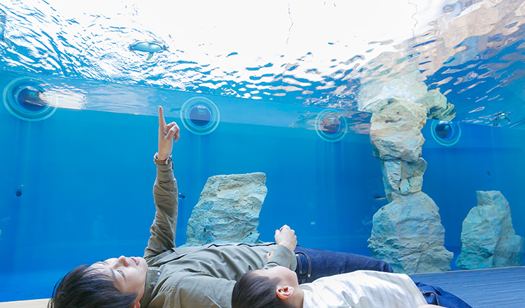 水族馆内地图