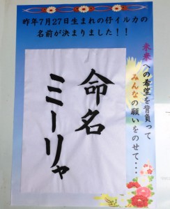 ミーリャ