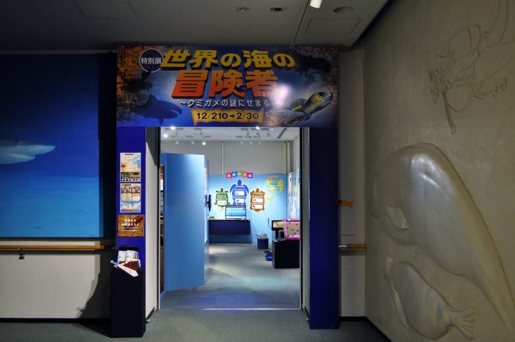 c2742d90082e01cc9d4a081fa5edfc