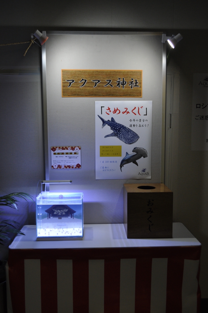 あけましておめでとうございます！｜アクアスブログ｜島根県立しまね