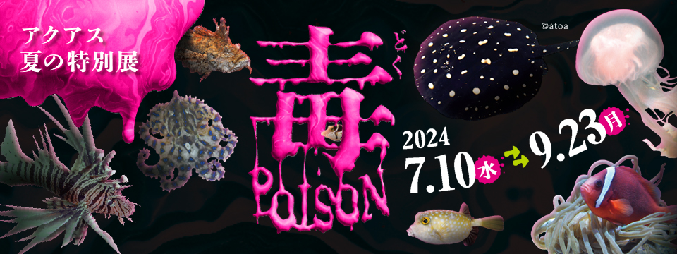 夏の特別展「毒」～POISON～