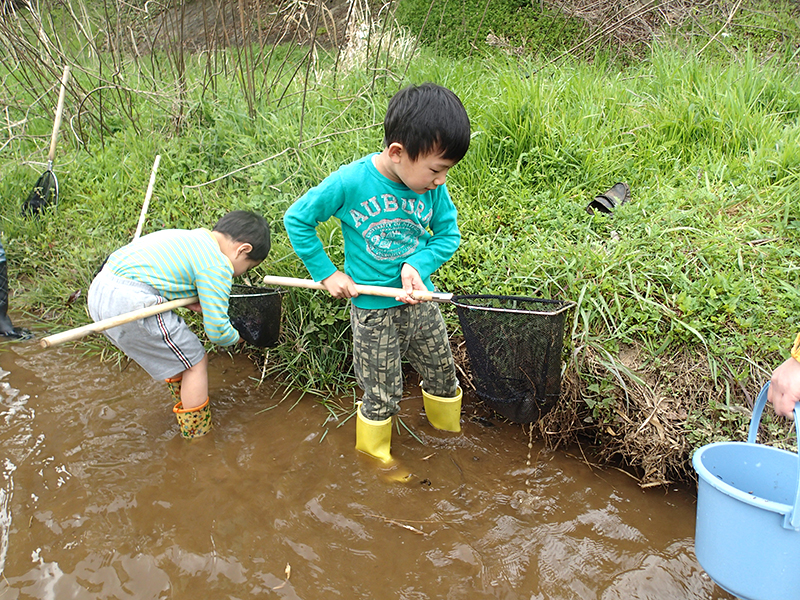 川の生き物探し