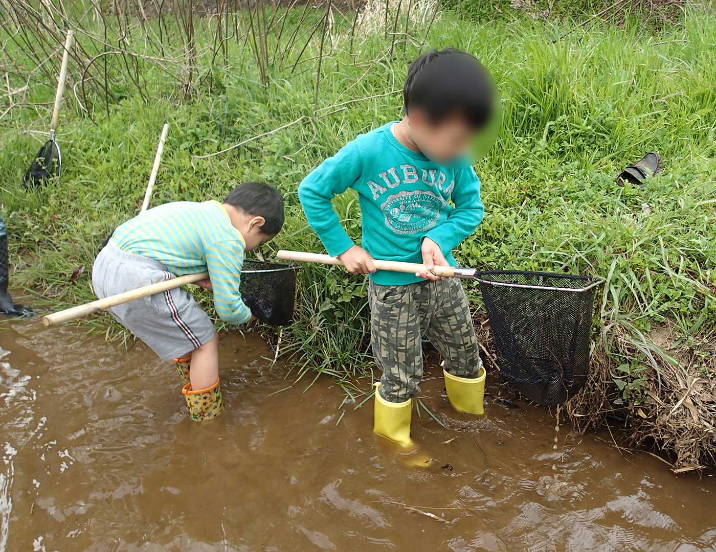 川の生き物さがし