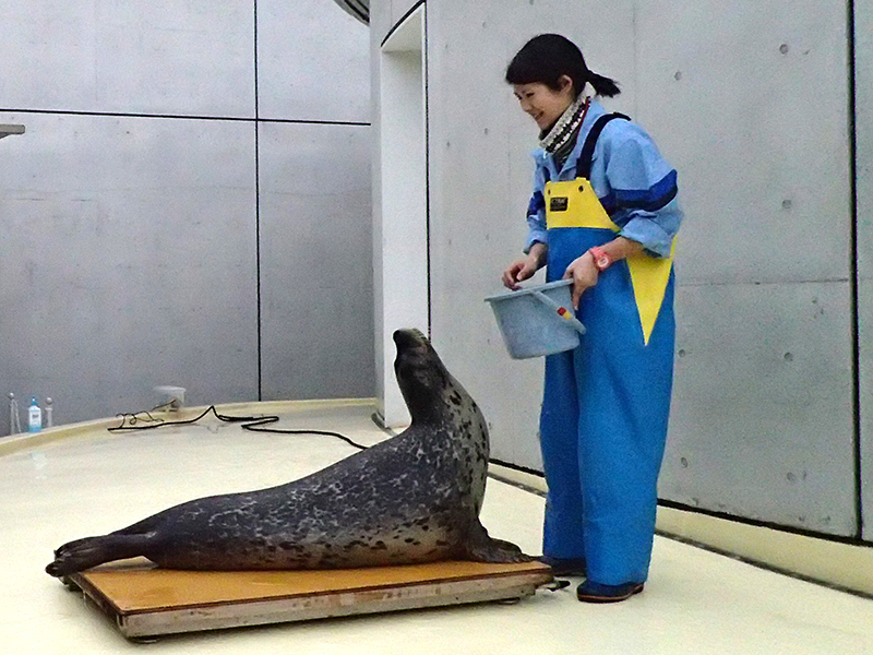 なかよしタイム特別バージョン