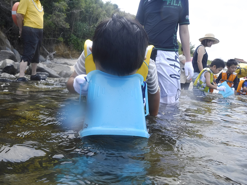 海の中をのぞこうよ