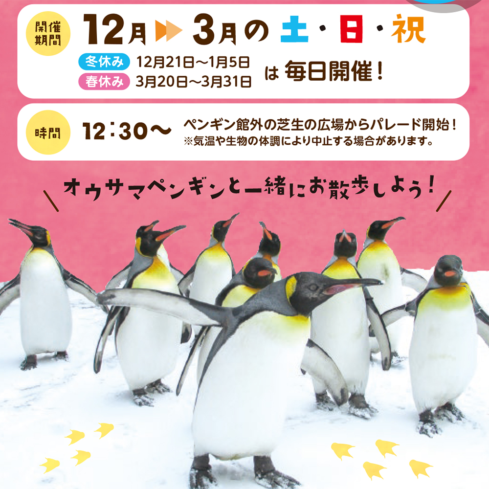 冬季限定ペンギンパレード