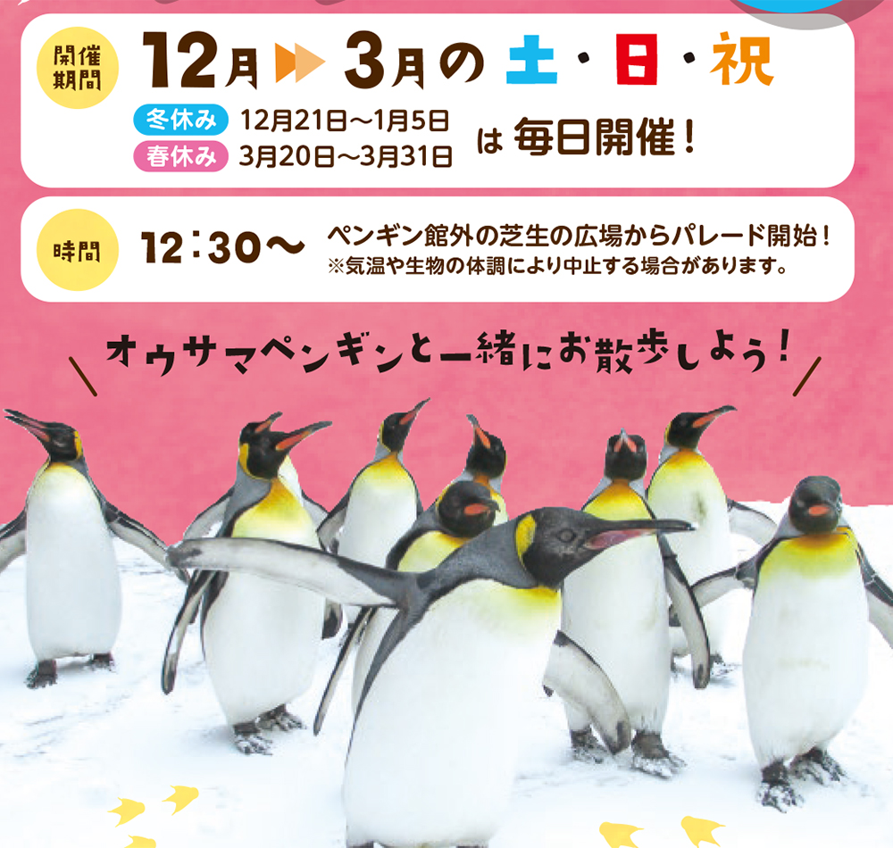 冬季限定ペンギンパレード