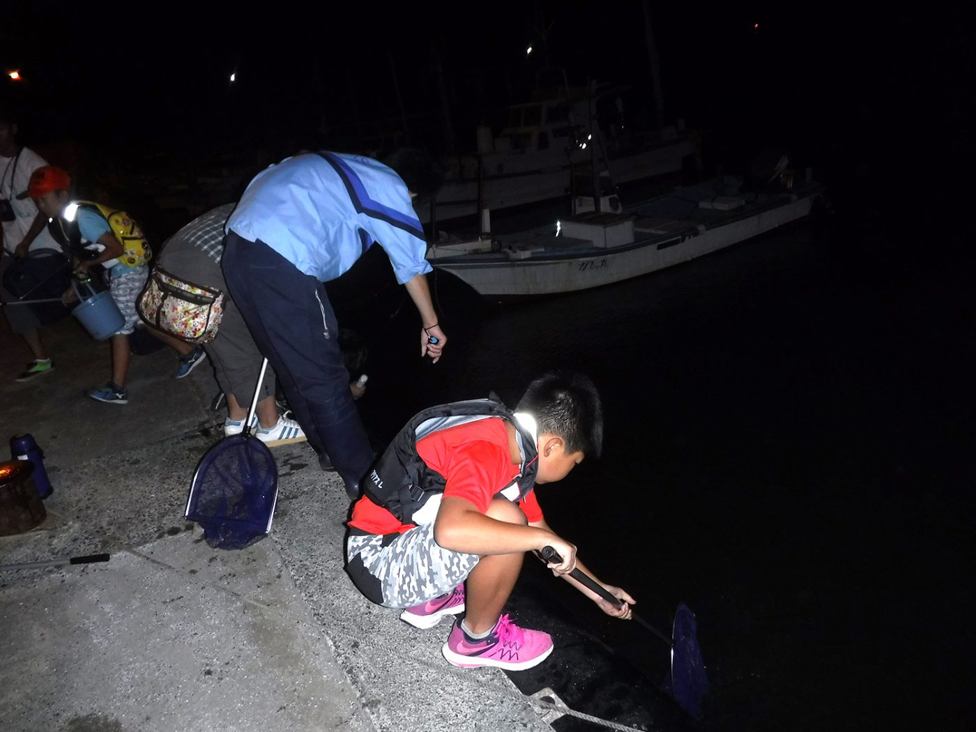 夜の生き物探し